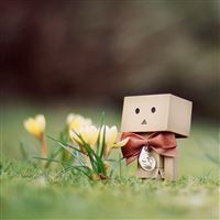 Danbo And Flower wallpaper