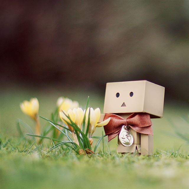 1024x1024 Danbo And Flower - green iPad Wallpaper