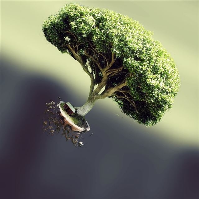 1024x1024 Tree Roots - house iPad Wallpaper