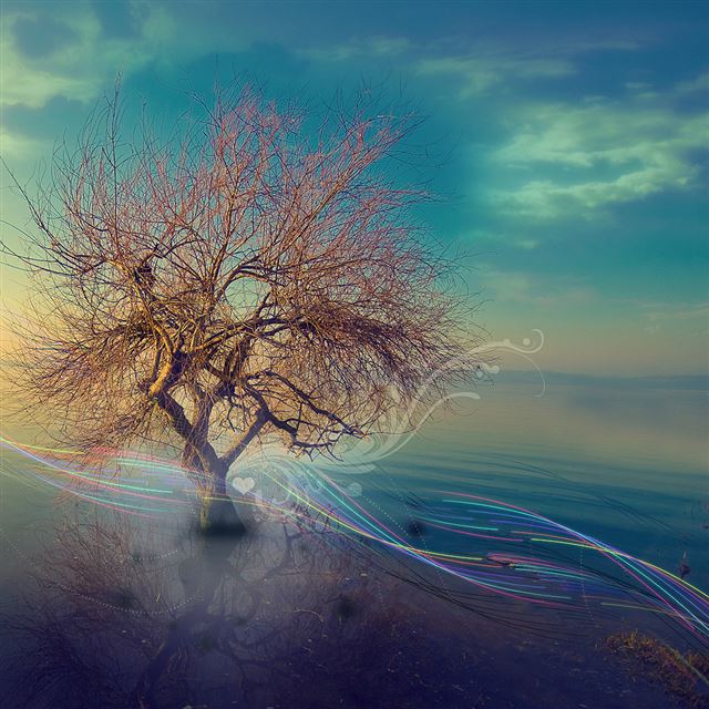1024x1024 Abstract trees - trees iPad Wallpaper