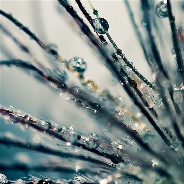 1024x1024 Water drops - cyan iPad Wallpaper