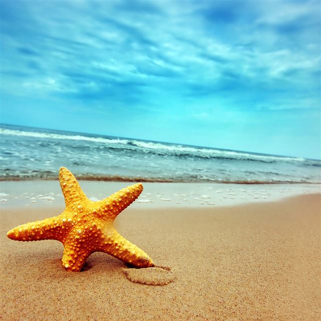 1024x1024 Sea star - sky iPad Wallpaper