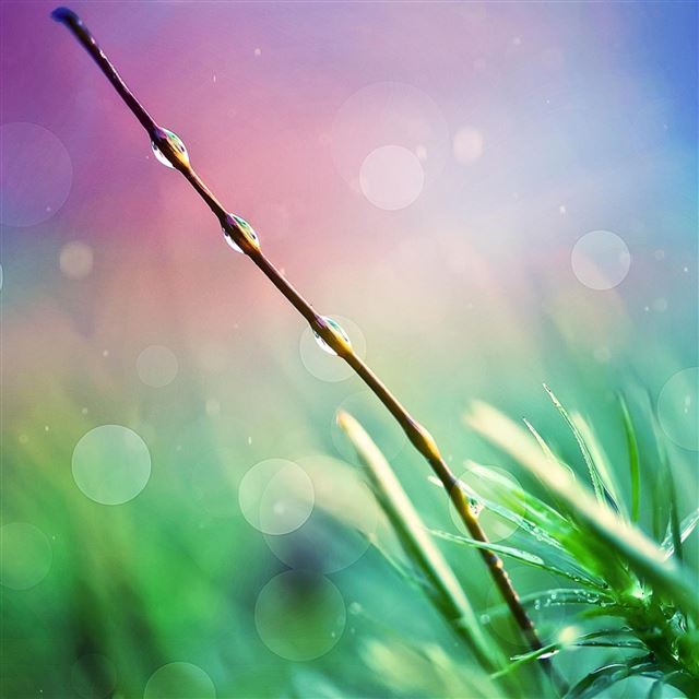 2048x2048 Nature Heaven -  iPad Wallpaper