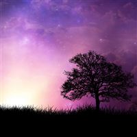 Violet Horizon wallpaper