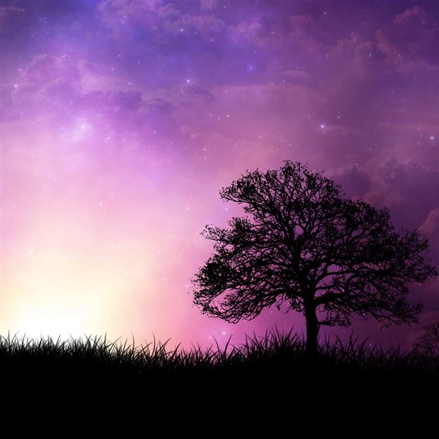 1024x1024 Violet Horizon - tree iPad Wallpaper