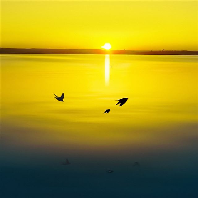 1024x1024 Gold Sunset - gold iPad Wallpaper