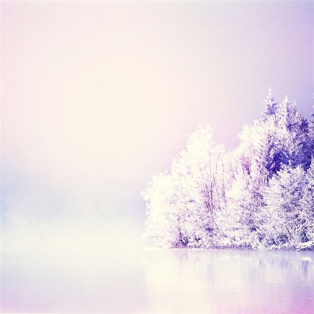 1024x1024 Dreamy Snowy Forest - forest iPad Wallpaper