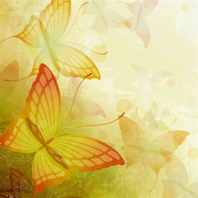 1024x1024 Beautiful Butterfly Art - drawn iPad Wallpaper
