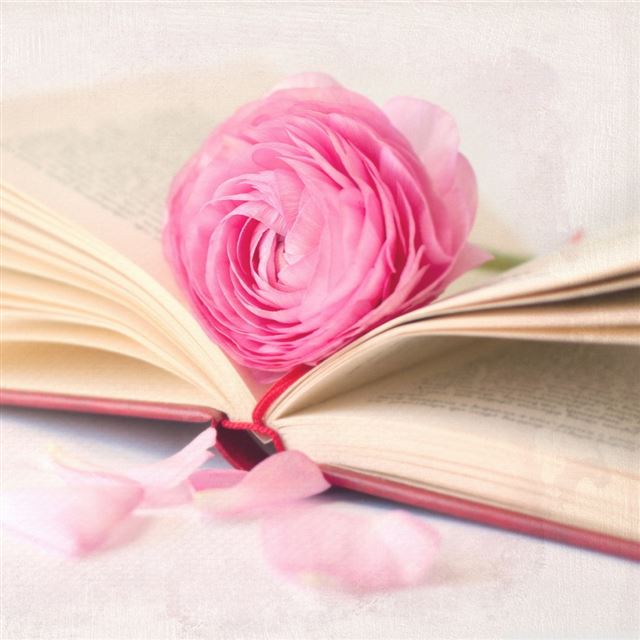 1024x1024 Romantic Flower Book - petal iPad Wallpaper