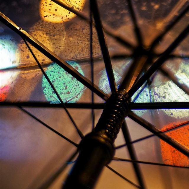 1024x1024 Macro Umbrella Rain - brown iPad Wallpaper