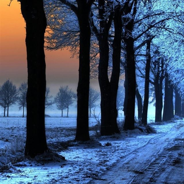 1024x1024 Sunrise Trees Path - path iPad Wallpaper