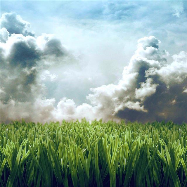 1024x1024 Grass Scenery - clouds iPad Wallpaper