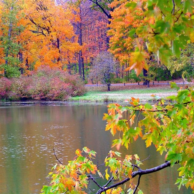 1024x1024 Autumn Nature - orange iPad Wallpaper