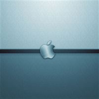 Metallic Apple Logo wallpaper