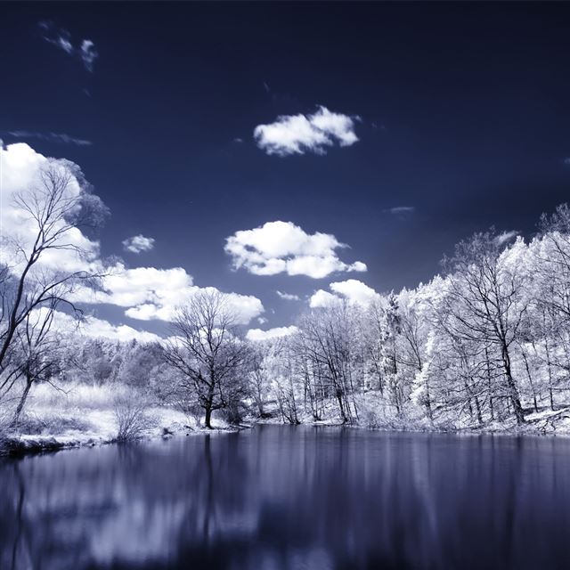 1024x1024 Infrared Photography Landscapes Skyscapes Trees Water  - photography iPad Wallpaper