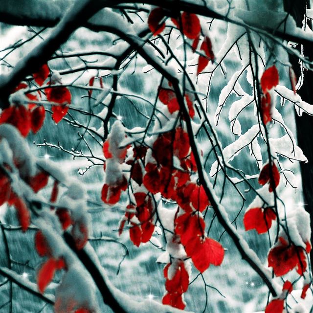 1024x1024 Snow Leaves - tree iPad Wallpaper