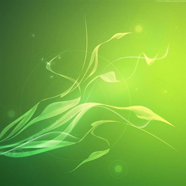 1024x1024 Abstract Plants - illustration iPad Wallpaper