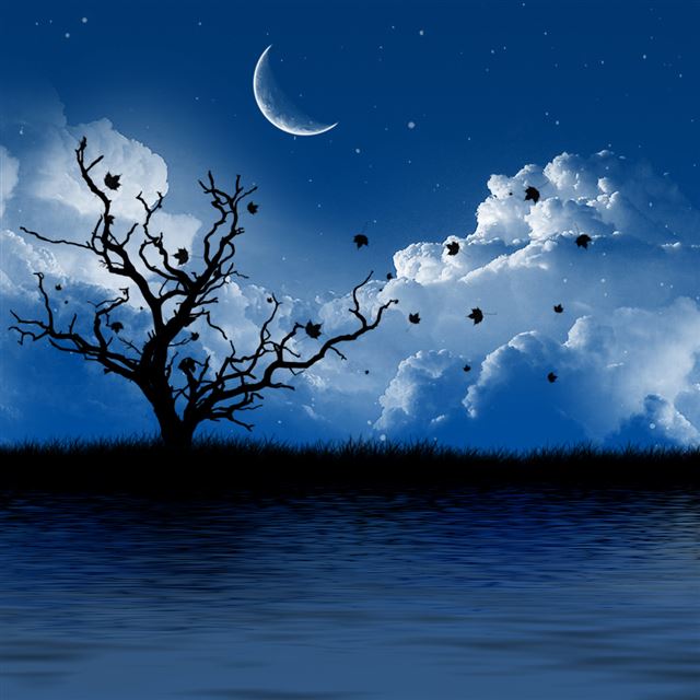1024x1024 Nature Night Landscape - tree iPad Wallpaper