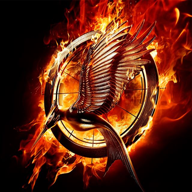 1024x1024 Catching Fire  - black iPad Wallpaper