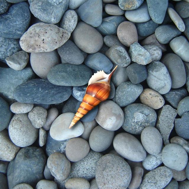 1024x1024 Rocks and Shell - rocks iPad Wallpaper