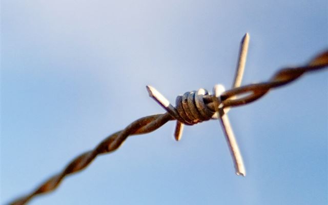 1024x1024 Simple Barbed wire - wire iPad Wallpaper