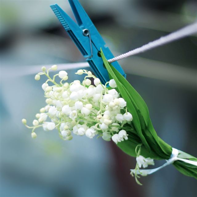 1024x1024 Clothes peg Flower Bunch - black iPad Wallpaper