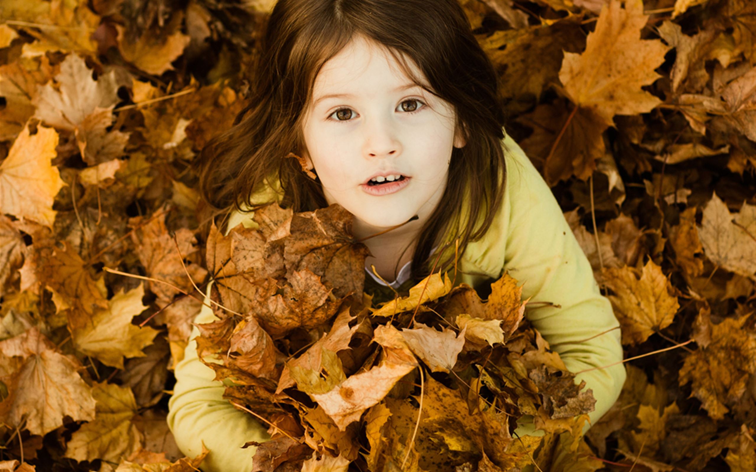 Cute Beautiful Girl In Autumn Leaves iPad Wallpapers Free Download
