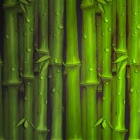 Vector Bamboo wallpaper