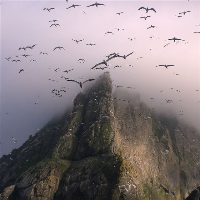 1024x1024 Flying Mountain Top - top iPad Wallpaper