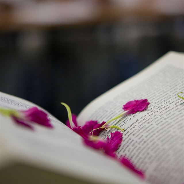 1024x1024 Petal On Open Book - black iPad Wallpaper