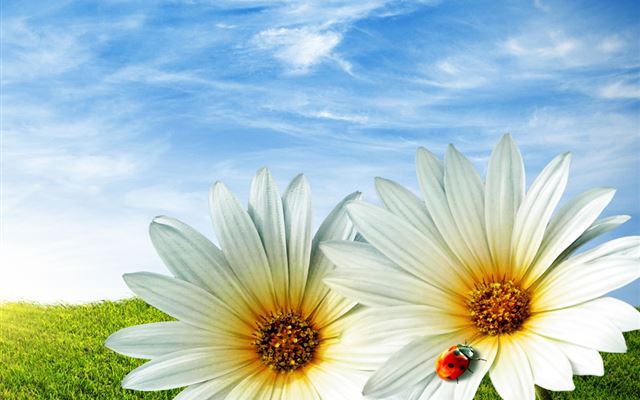 1024x1024 Flower Painting Art - paint iPad Wallpaper