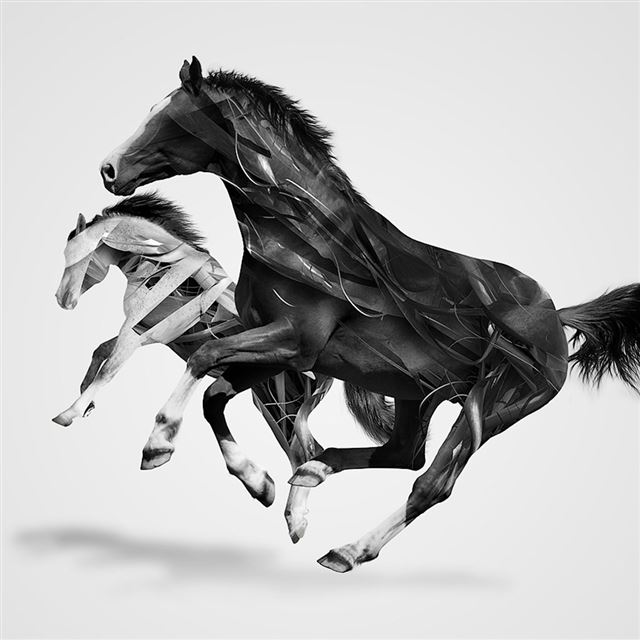 1024x1024 Horses - jump iPad Wallpaper