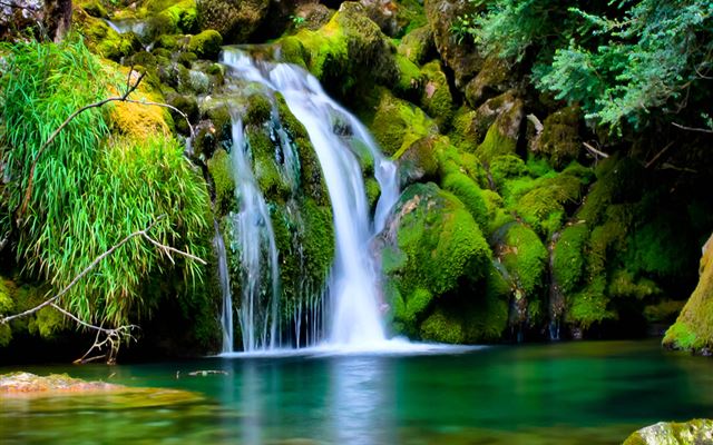 1024x1024 Nature Forest Lake Landscape -  iPad Wallpaper