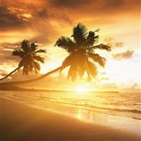 Caribbean Coast Sunset wallpaper