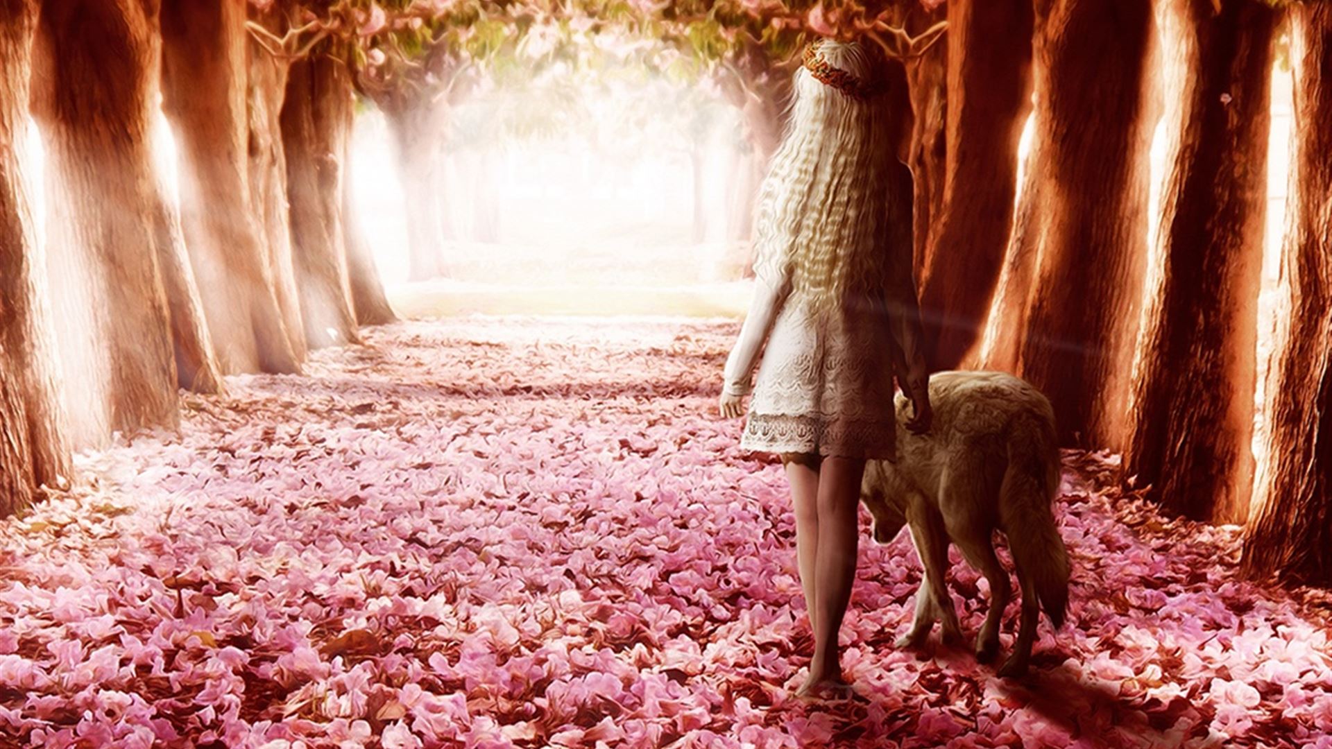 Dreamy Flower Path iPad Wallpapers Free Download