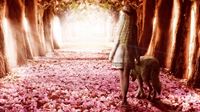 Dreamy Flower Path wallpaper