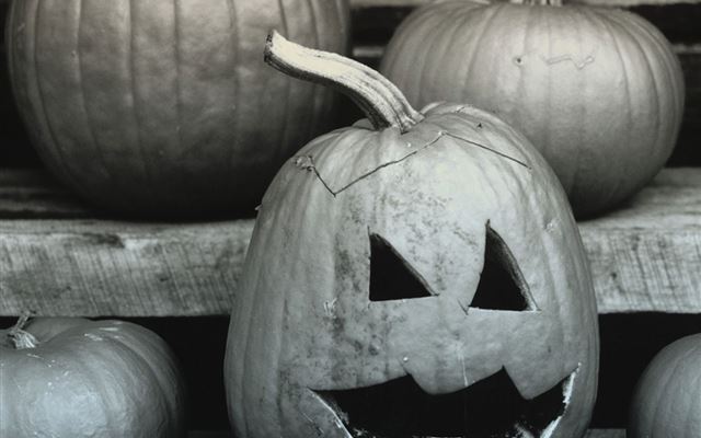 1024x1024 Grayscale Halloween Pumpkin - festival iPad Wallpaper