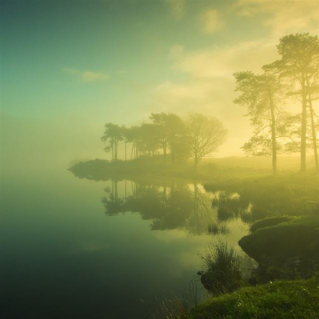 1024x1024 Morning Trees Reflection In Lake - trees iPad Wallpaper