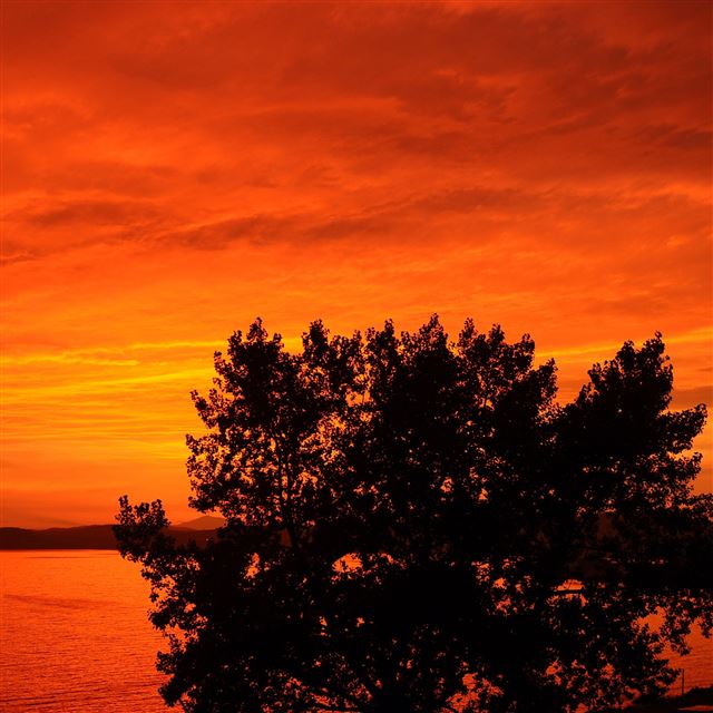 2048x2048 Nature Red Sunset - splendid iPad Wallpaper