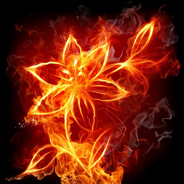1024x1024 Fire Flowers - smoke iPad Wallpaper