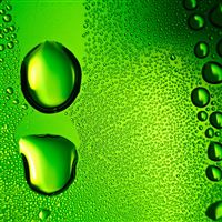 Bottle Condensation wallpaper