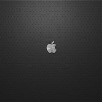 Silver Apple Logo wallpaper