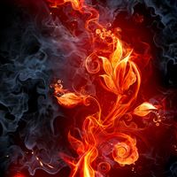 Fire Flowers wallpaper