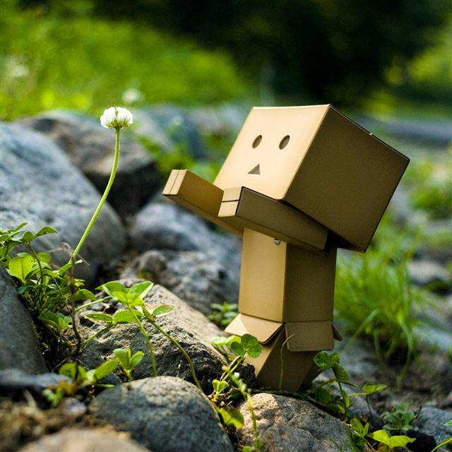 1024x1024 Danbo Embrace - doll iPad Wallpaper