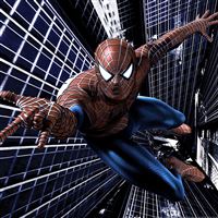 Spider Man wallpaper