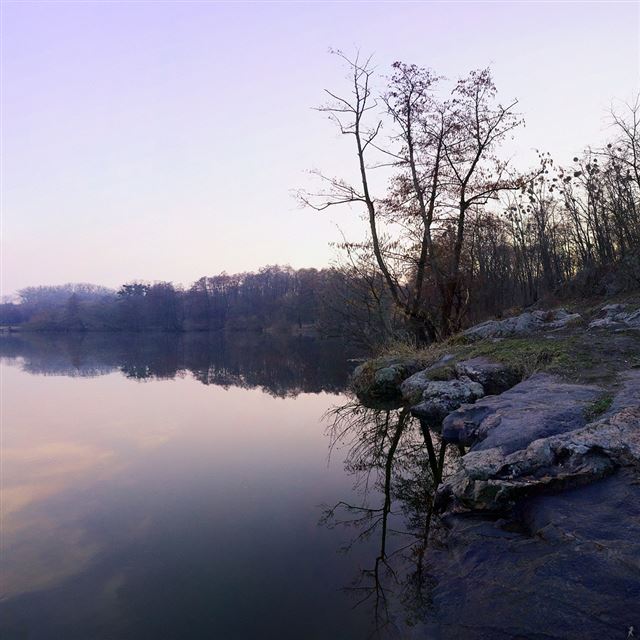 1024x1024 Lake Shore - scenery iPad Wallpaper