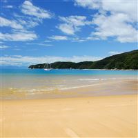 Nature Seashore Beach Landscape wallpaper