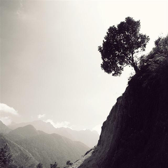 1024x1024 Hillside Tree - mountains iPad Wallpaper