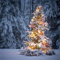 Neon Light On Snowy Christmas Tree wallpaper