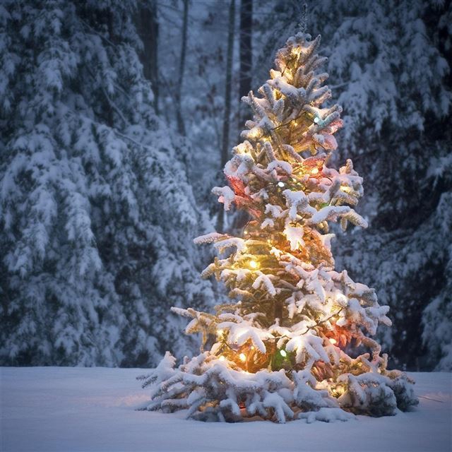 1024x1024 Neon Light On Snowy Christmas Tree - yellow iPad Wallpaper